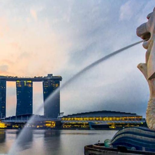 Visit Singapore logo